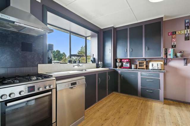 205 Signal Hill Road Opoho_1