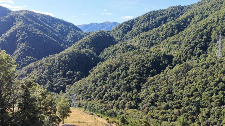 291 Braeburn Track Braeburn Range_15