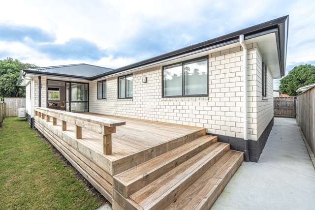 57a Peat Street Wanganui Central_1