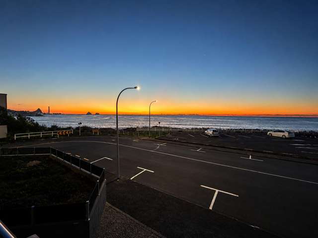 2/4 Buller Street New Plymouth_1