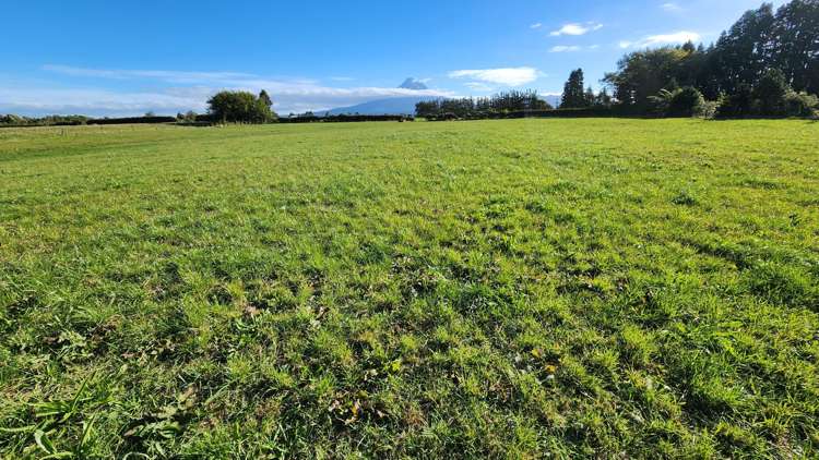 45 and 47 Windsor Road Inglewood_22