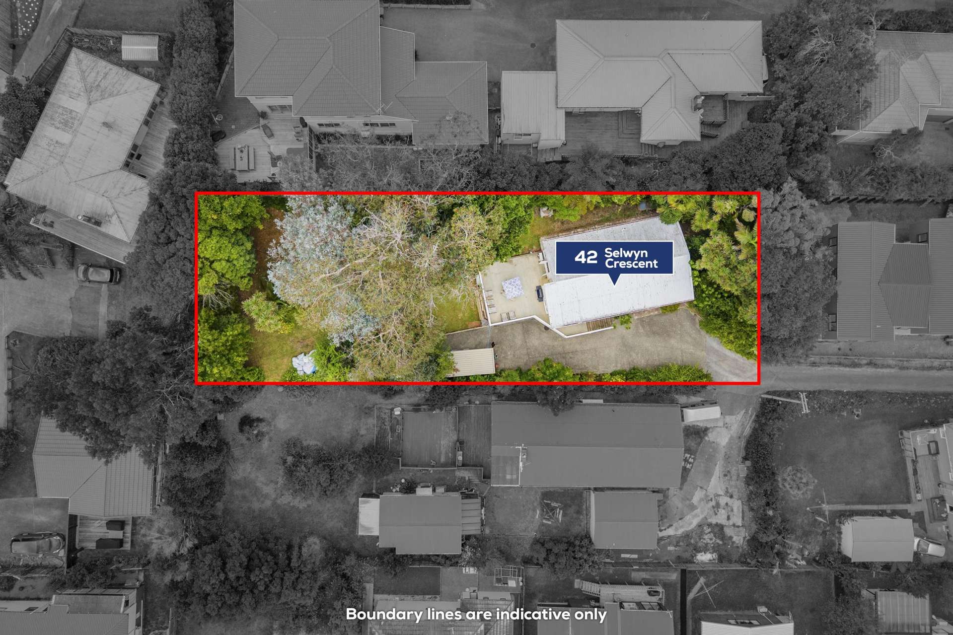 42 Selwyn Crescent Forrest Hill_0