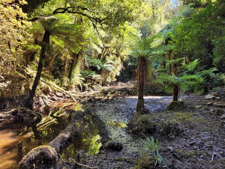 254 Doughboy Road Kokatahi_5