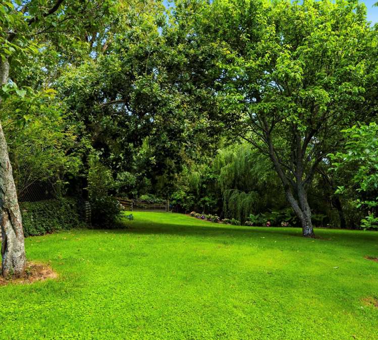 41 Walmsley Rd Waihi_3