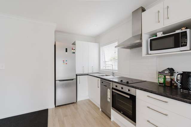 54 Lewis Street Glenview_3