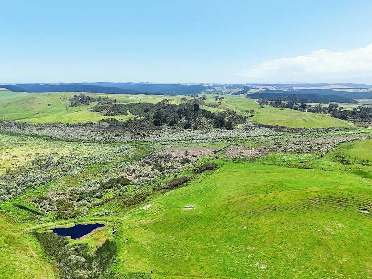 Lot Lot 2 Scottys Camp Road Dargaville_7