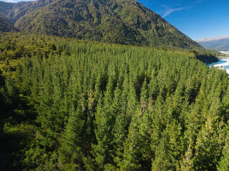 Bell Hill Road Inchbonnie_24