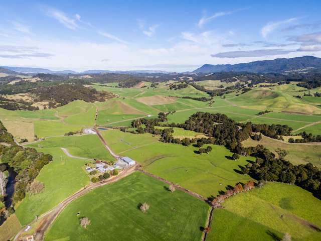 Crene Road Kaitaia_1