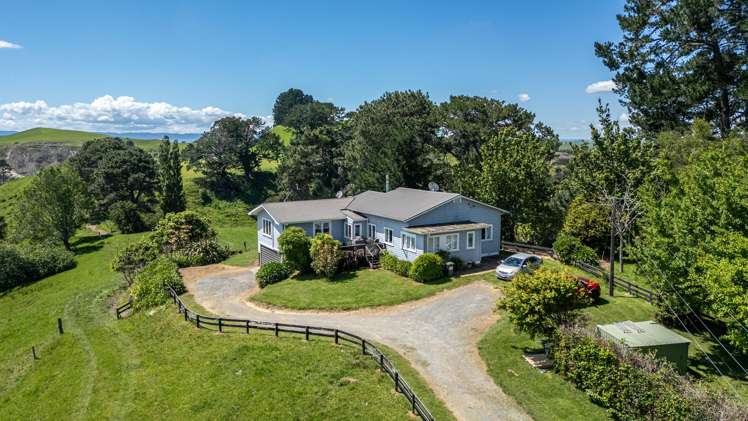 774 Buckland Road Matamata_23