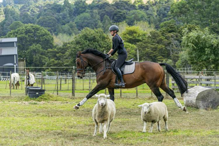 327 Upper Waiwera Road Puhoi_8