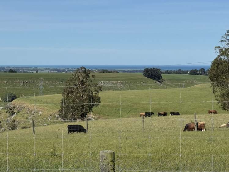 356 Hadlow Road Claremont_20