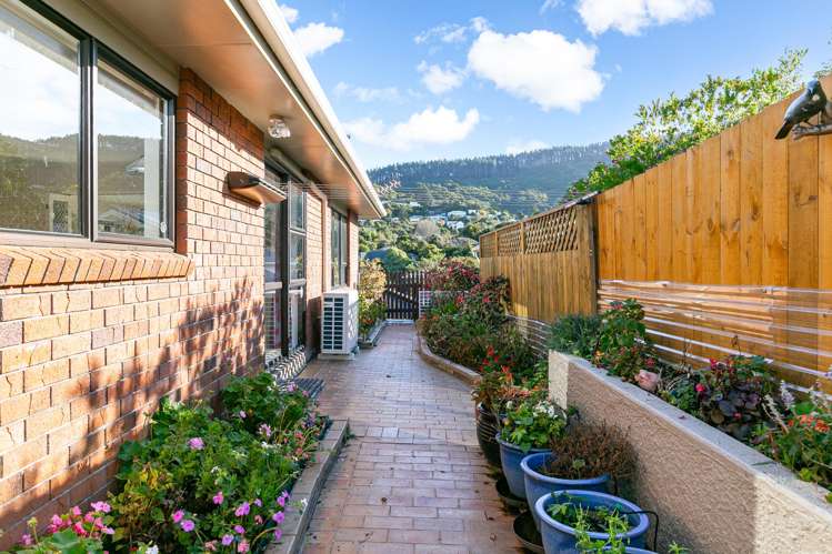 11A Roy Street_3