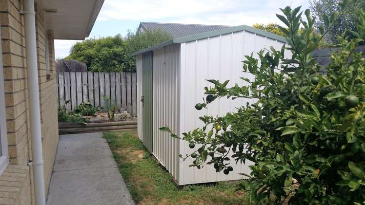 8 Paradise Point Place One Tree Point_15