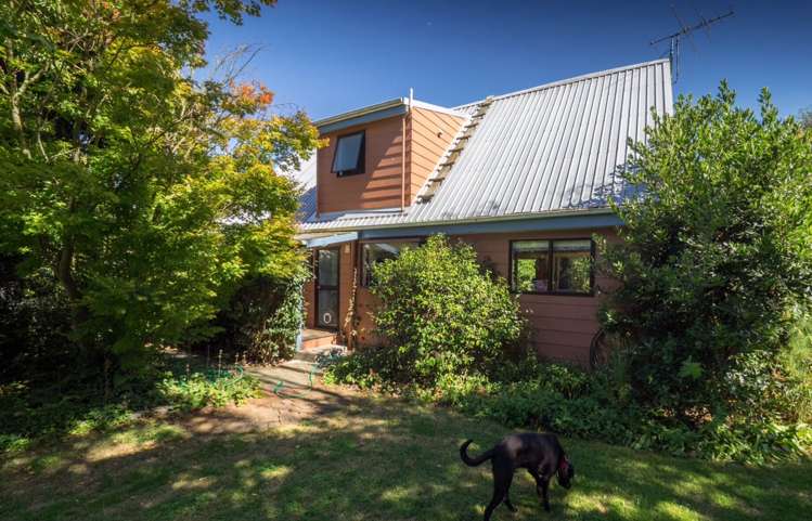 94 Thews Road Tinwald_12