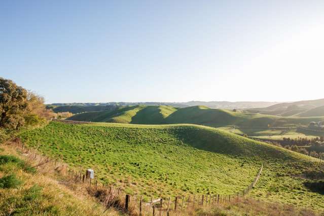 Kawera Road Pukehamoamoa_1