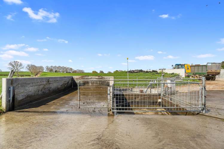 520 Lake Road Horsham Downs_17