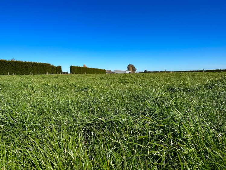 793 Edendale Woodlands Highway Winton Surrounds_20