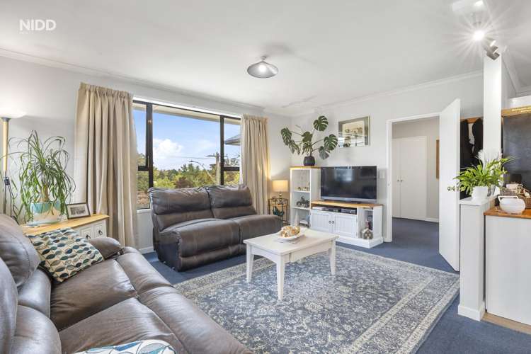 293 Main South Road Green Island_12