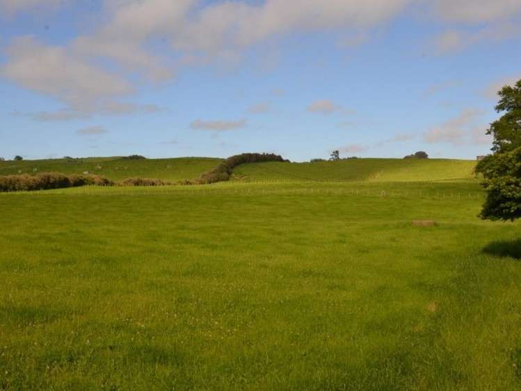 1035 Bayley Road Wharepuhunga_17