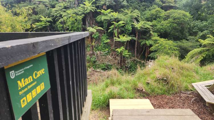 55 Bruce Avenue Glenview_22