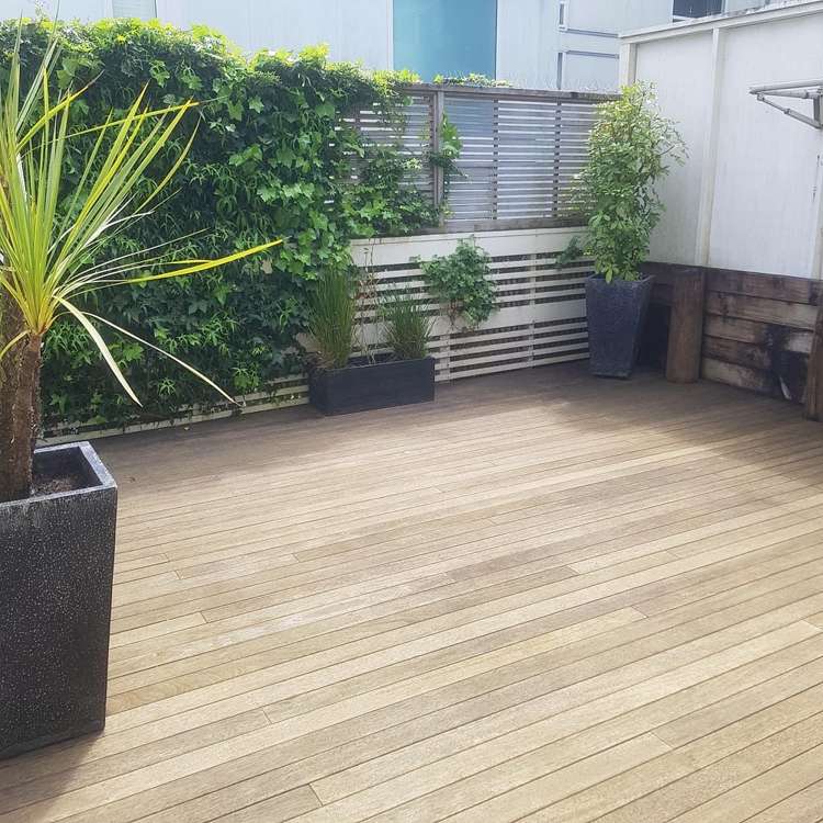 17/27 Birdwood Crescent Parnell_8