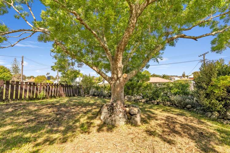 38 Ranfurly Street Dargaville_28