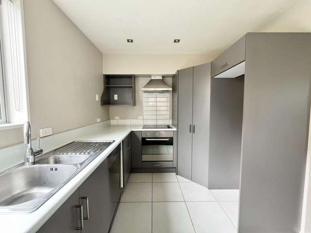 6A Elizabeth St Riccarton_2