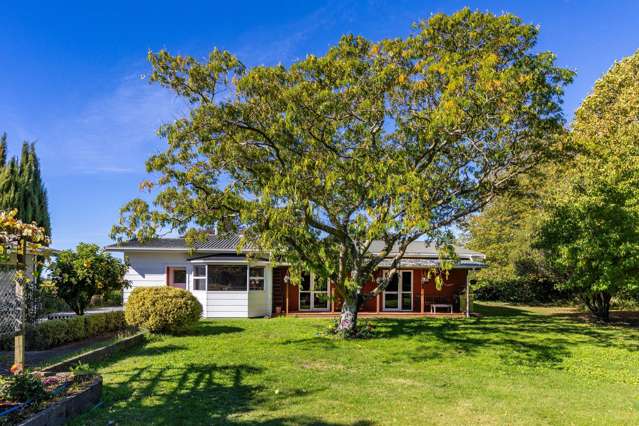 Relocated vendor offers rare opportunity