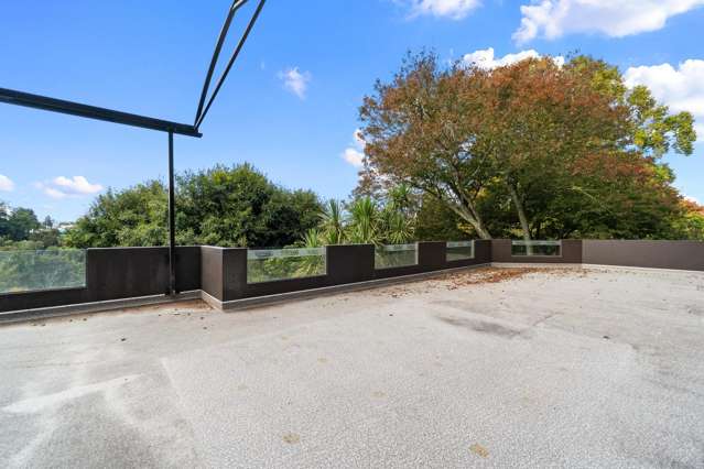 20 Alma Street Hamilton Central_4
