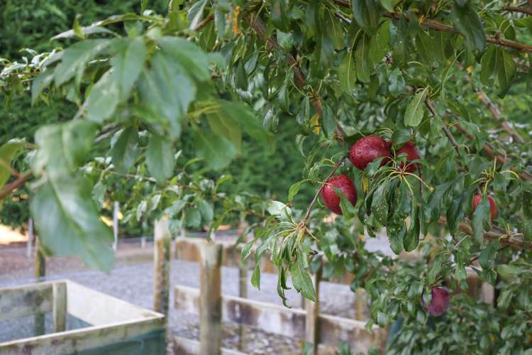 377 Tararua Road Levin_16