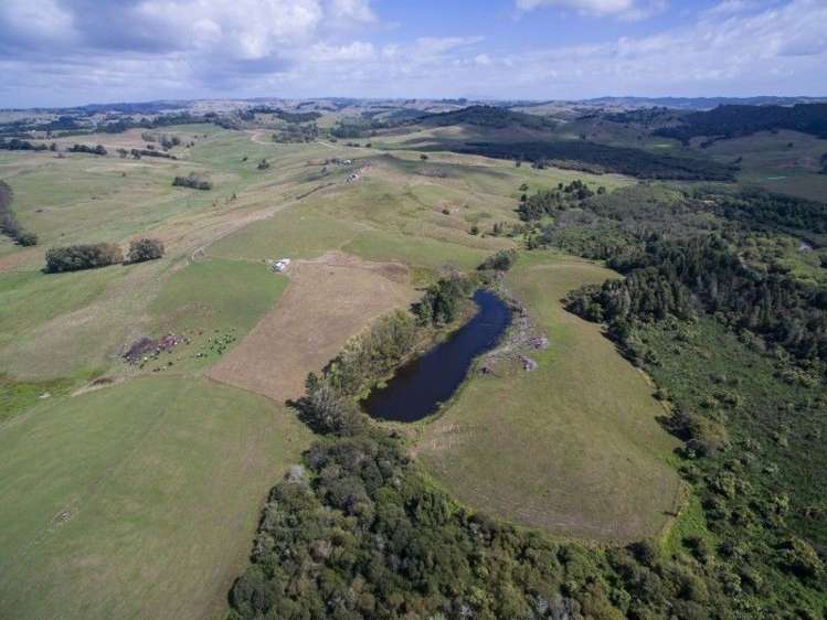 137 Sanson Road Ruawaro_9