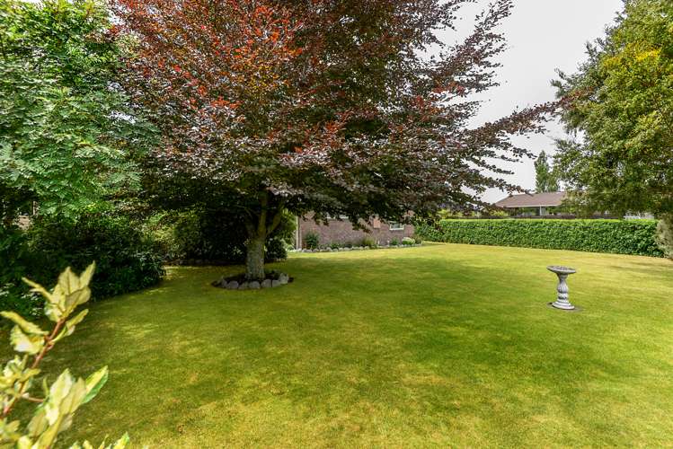 23 Tramway Road Springfield_15