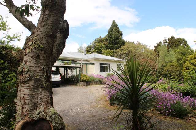 8 Banks Street Waihi_1