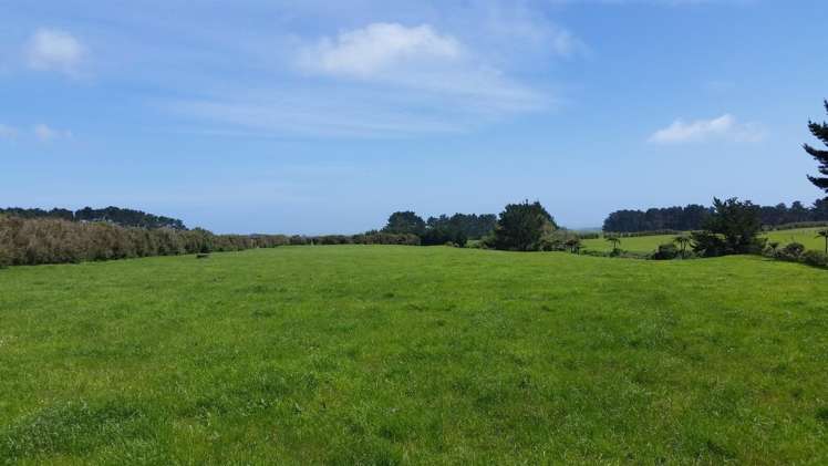 2369 Eltham Road Opunake_12