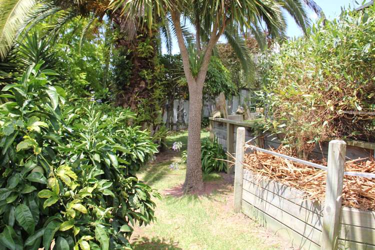 85a Morningside Road Morningside_20