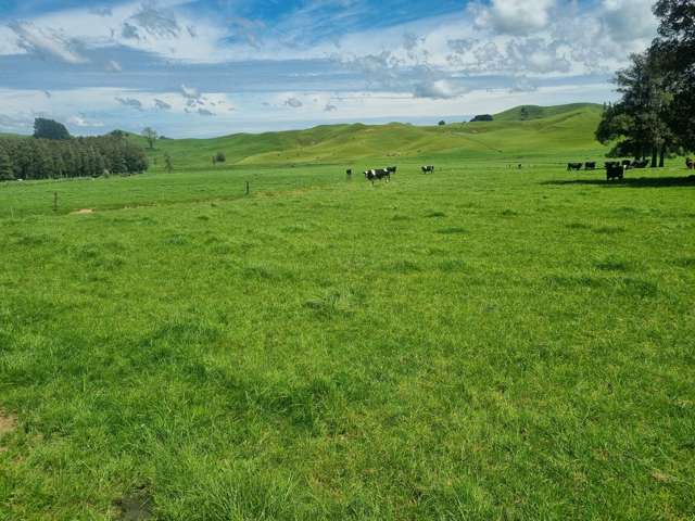 Kahuwera Road Piopio_2