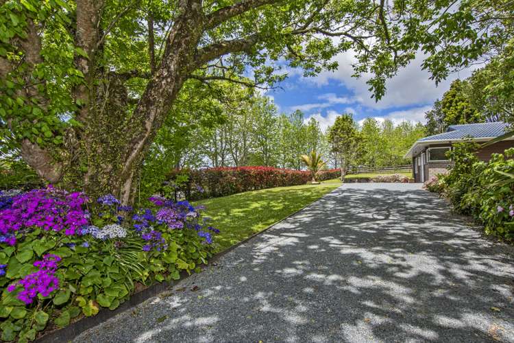 151 Millington Road Maunu_18