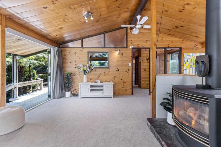 9 Solly Place Springfield_1