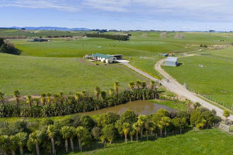 56 Managhs Road Halcombe_4