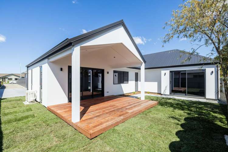 205a Guppy Road Taradale_18