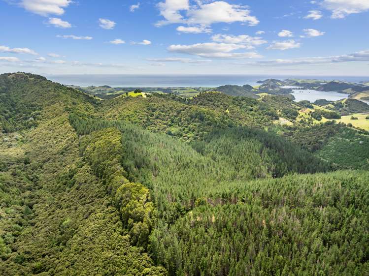 15 Waiparera Road Parua Bay_19