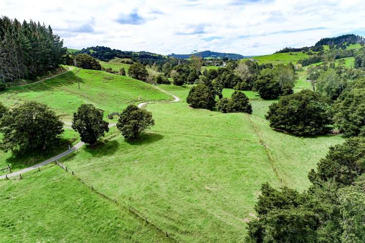 83 Paparoa Station Road Paparoa_10