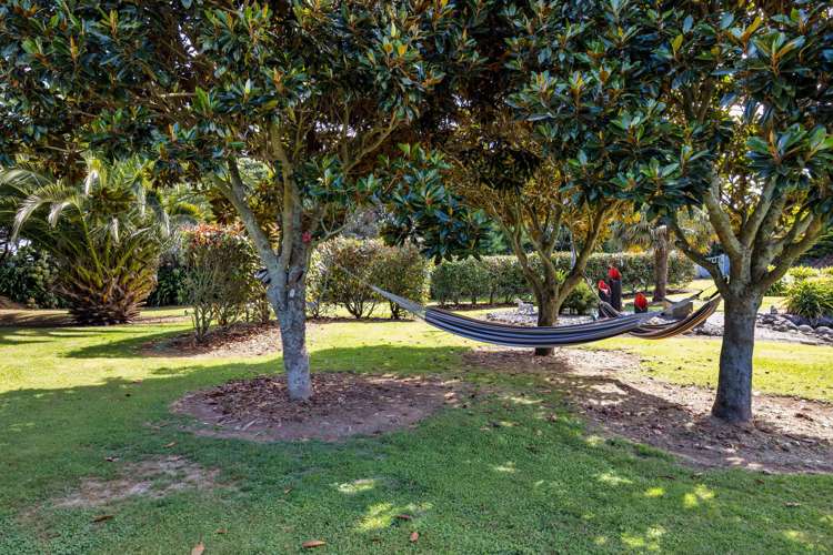 160 Upper Kina Road Opunake_3