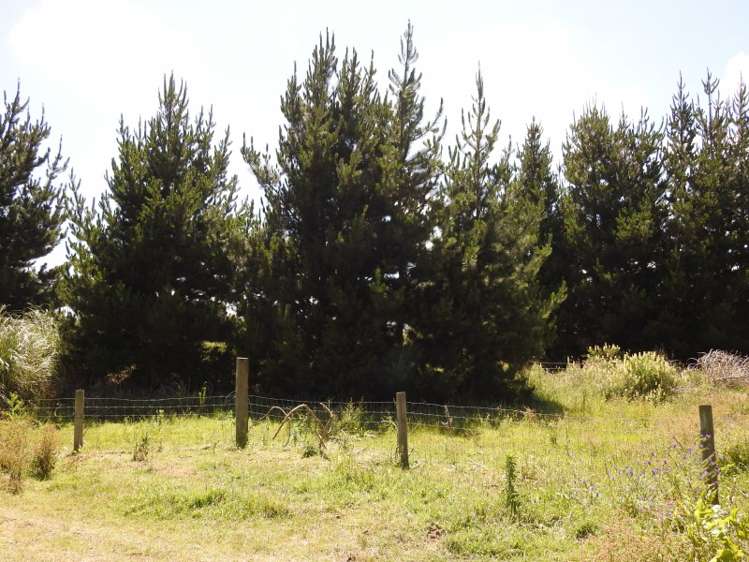 74b Himatangi Street Himatangi Beach_8