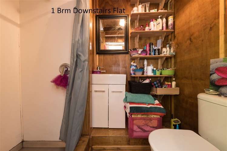 17 Millward Street Newtown_22