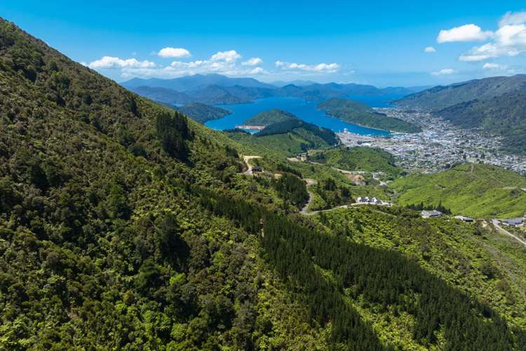 304 State Highway 1 Anakiwa and Surrounds_14