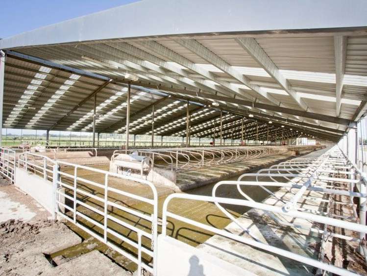 3 Limehills Browns Road Winton Surrounds_3