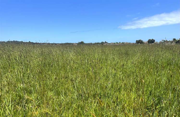 8026 State Highway 6 Charleston_15