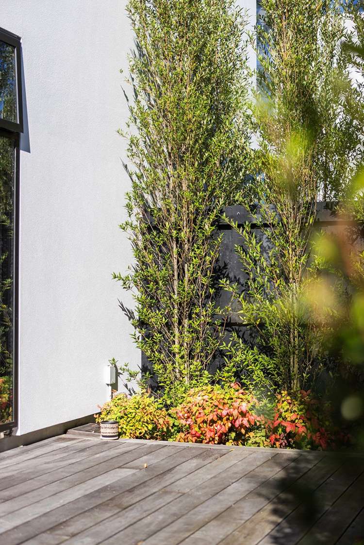 100A Rossall Street Merivale_19