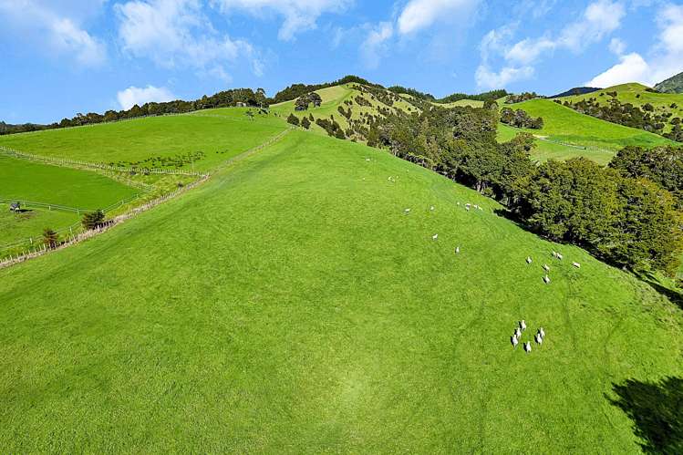 1524 Kirikopuni Valley Road Whangarei_17